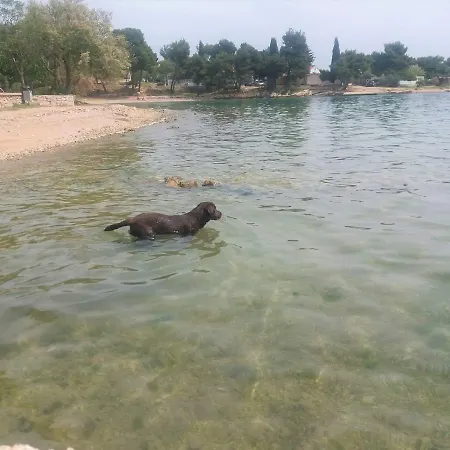 Paulina - Ideal For Kids And Pets Lodge *