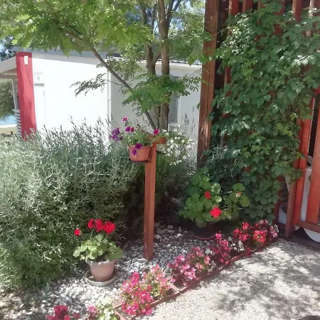 Paulina - Ideal For Kids And Pets Lodge *